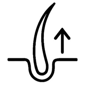 Strengthens Reduces breakage